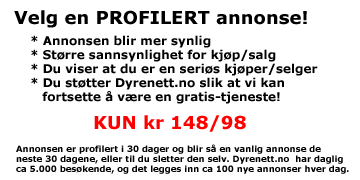 Profilert annonse