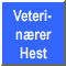 Veterinrer Hest