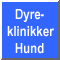 Dyreklinikker Hund