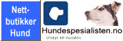Bransjeregisteret