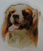 Cavalier King Charles utstillingsnl